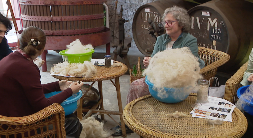 Imagem de IVBAM promove curso para fazer 'Barrete de Orelhas' (vídeo)