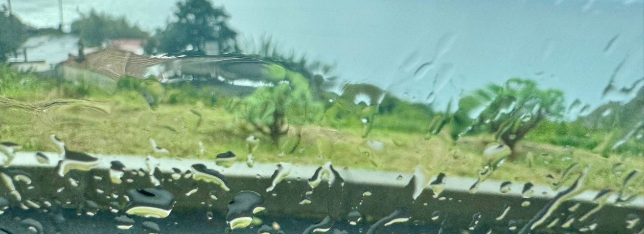 Imagem de Março mais chuvoso e mais frio do que o habitual na Madeira