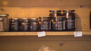 Imagem de Produção de mel mais fraca em 2025 (vídeo)