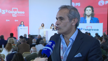 Imagem de Carlos Pereira diz estar ao lado de Célia Pessegueiro (vídeo)