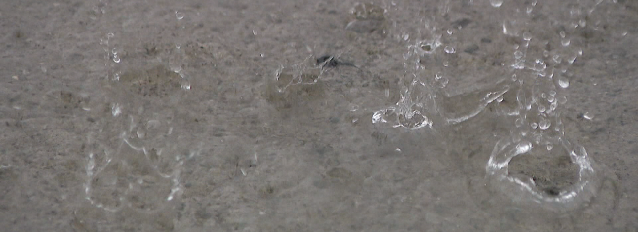 Imagem de Choveu mais do que é habitual no mês de janeiro (vídeo)