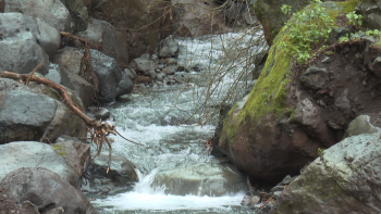 Imagem de EEM garante que as obras não vão retirar água aos agricultores (vídeo)