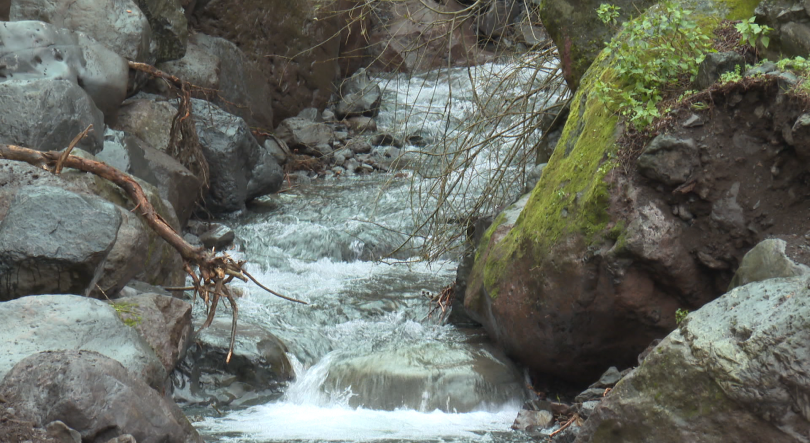 Imagem de EEM garante que as obras não vão retirar água aos agricultores (vídeo)