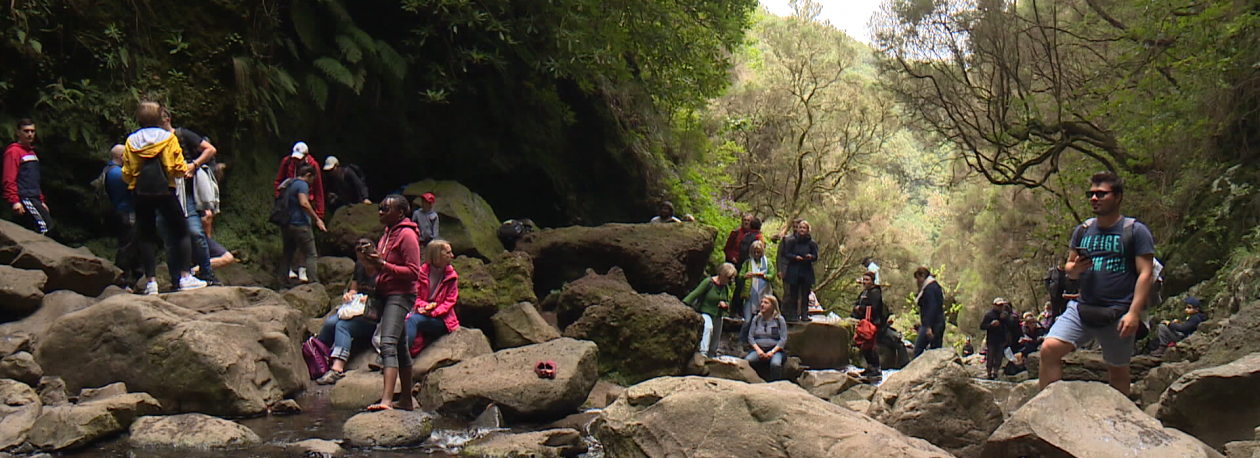 Imagem de Agentes de viagem pedem maior flexibilidade nos horários dos percursos (vídeo)