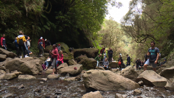 Imagem de Agentes de viagem pedem maior flexibilidade nos horários dos percursos (vídeo)