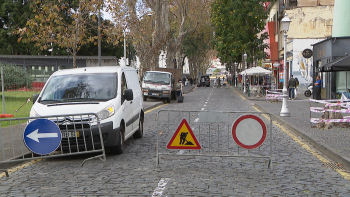 Imagem de Automobilistas andam às voltas na Zona Velha do Funchal (vídeo)