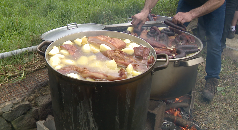 Imagem de Excursões até ao Seixal para o panelo (vídeo)