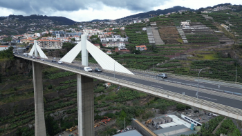 Imagem de Área agrícola da Madeira reduzida para a metade em 17 anos (vídeo)