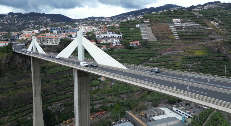 Imagem de Área agrícola da Madeira reduzida para a metade em 17 anos (vídeo)