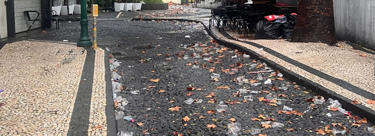 Imagem de Câmara do Funchal recolheu mais lixo nesta passagem de ano (vídeo)