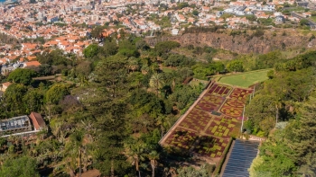 Imagem de Jardim Botânico organiza visitas guiadas na última 4.ª feira de cada mês (áudio)