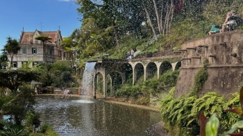 Imagem de Jardim Tropical do Monte Palace registou o melhor ano de sempre (áudio)