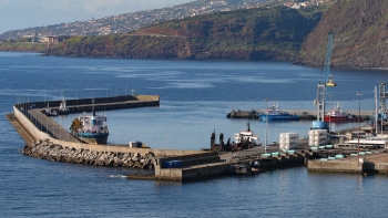 Imagem de Porto do Caniçal testa manobras com navios de 150 metros em simulador virtual (áudio)
