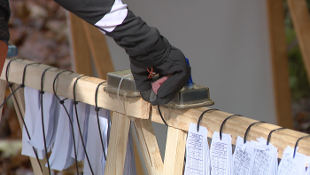 Imagem de Encontro de Orientação no Montado do Pereiro e Serras do Poiso (vídeo)