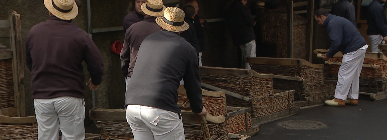 Imagem de Carreiros com quebras que podem chegar aos 50% (vídeo)