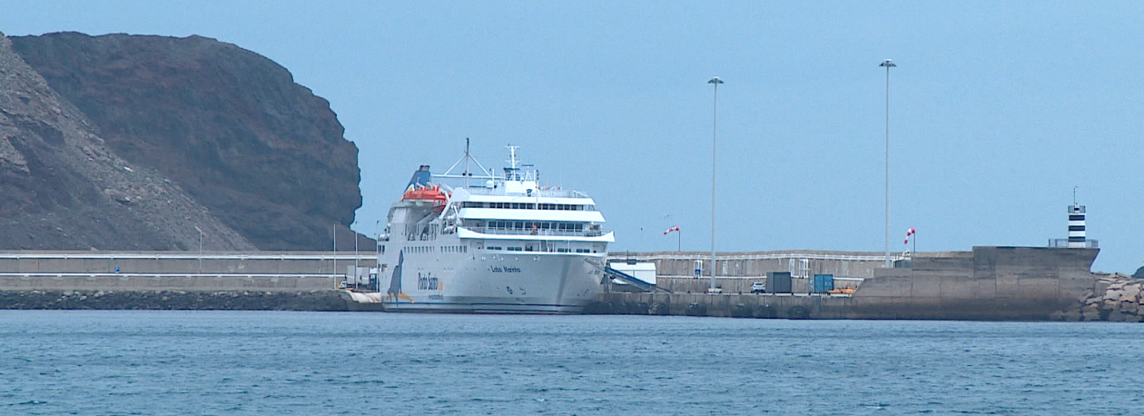 Imagem de Lobo Marinho vai parar cinco semanas (vídeo)