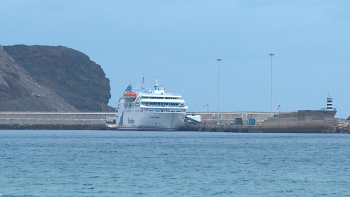 Imagem de Lobo Marinho vai parar cinco semanas (vídeo)
