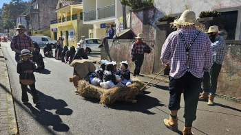 Imagem de Enterro do osso na Camacha (vídeo)