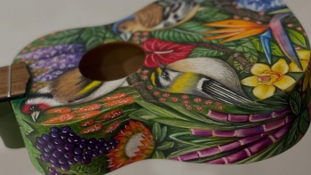 Imagem de Festival Internacional de Cordofones Tradicionais ACORDE arranca hoje (áudio)