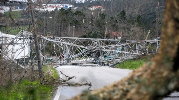 Imagem de Madeira envia equipas da EEM para apoiar reposição elétrica no Continente