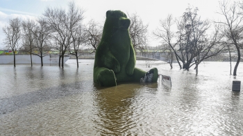 Imagem de Janeiro passado foi o segundo mais chuvoso desde 2000