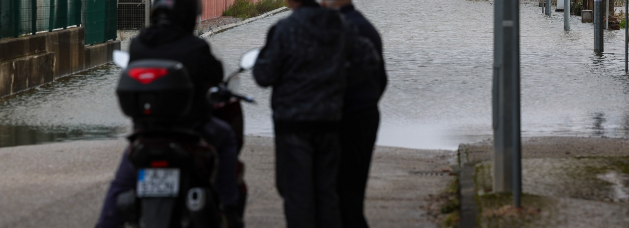 Imagem de Técnicos da EEM no terreno em Pombal