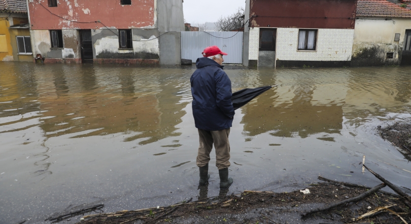 Imagem de Governo contabiliza cerca de 12.000 pedidos de apoios