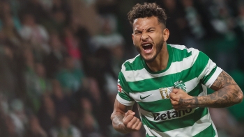 Imagem de Sporting vence confortavelmente em casa