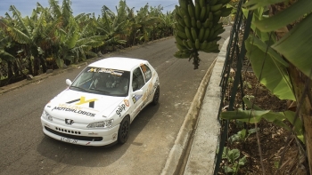 Imagem de Peugeot 306 para a Perfection Motorsport