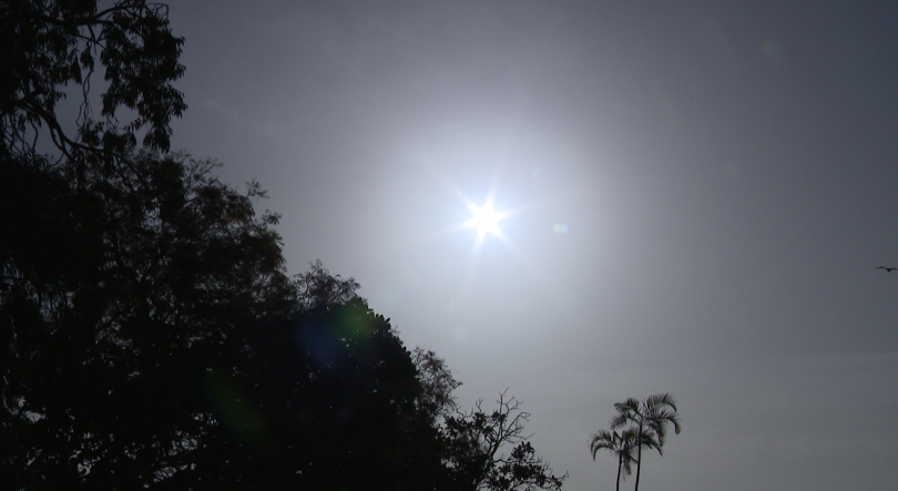 Imagem de Poeiras do norte de África estão a afetar qualidade do ar na Madeira (vídeo)