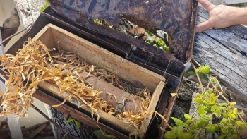 Imagem de Projétil de guerra antigo encontrado numa casa em ruínas