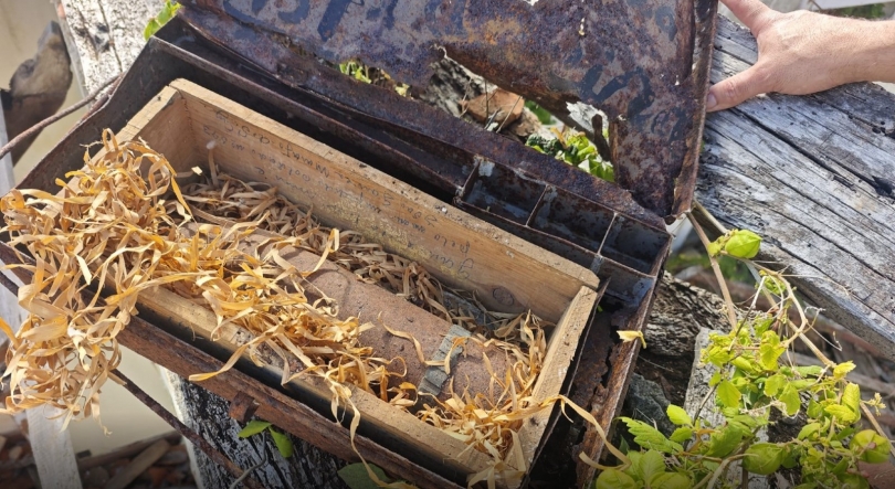 Imagem de Projétil de guerra antigo encontrado numa casa em ruínas