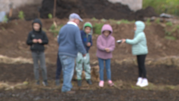 Imagem de Alunos plantam cereais no Jardim da Serra (vídeo)