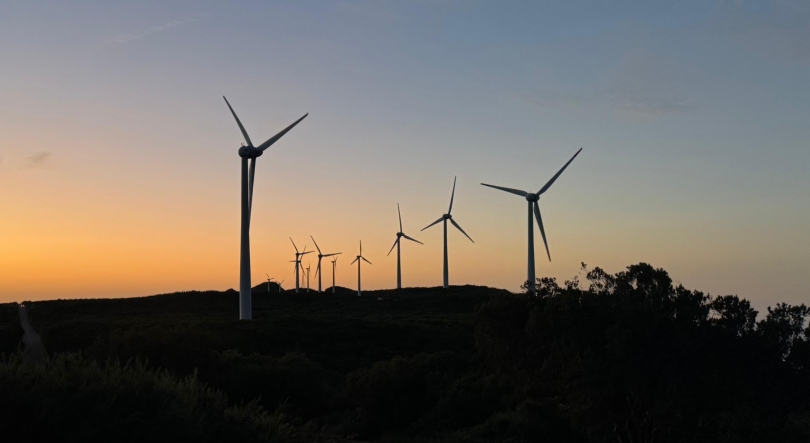 Imagem de Madeira atinge recorde no consumo de energias renováveis