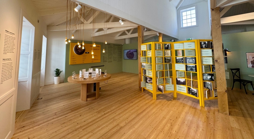 Imagem de Confeitaria Felisberta reabre na Rua das Pretas (áudio)