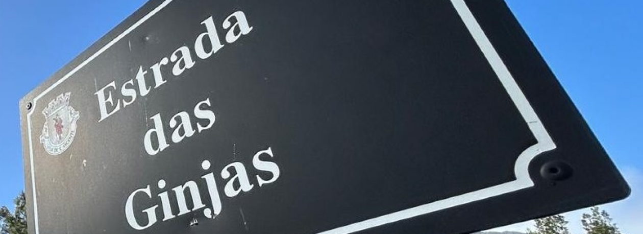 Imagem de ‘Defesa da Laurissilva’ satisfeita com decisão sobre estrada das Ginjas (áudio)