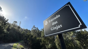 Imagem de ‘Defesa da Laurissilva’ satisfeita com decisão sobre estrada das Ginjas (áudio)