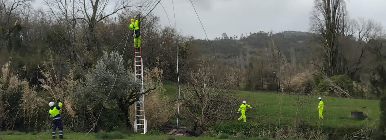 Imagem de Ajudar quem precisa foi gratificante (áudio)