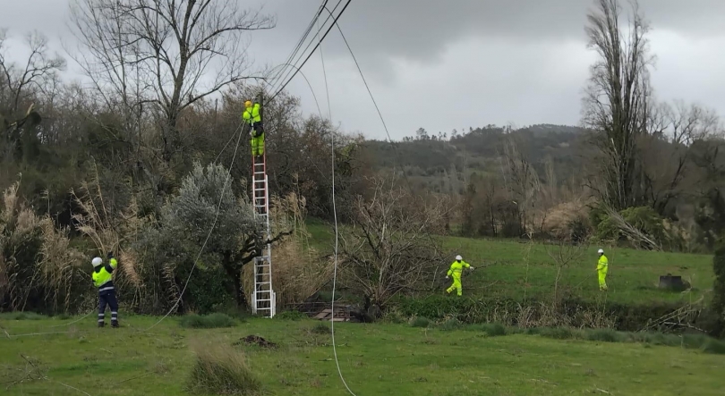 Imagem de Ajudar quem precisa foi gratificante (áudio)