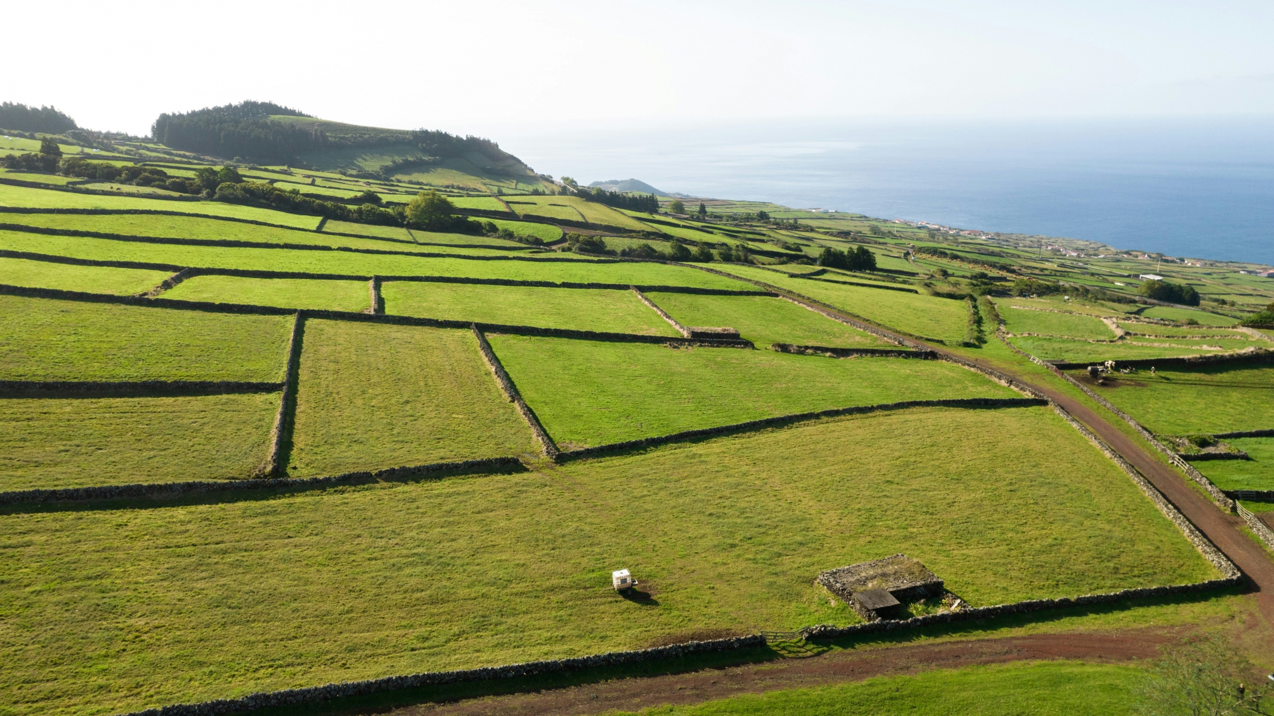 Madeira vai ter ligação aérea com a Terceira (vídeo) | RTP Madeira