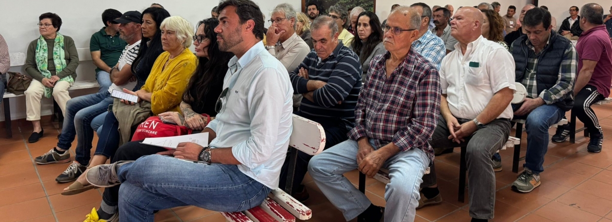 Imagem de Bananicultores querem que estragos sejam cobertos pelo seguro (vídeo)