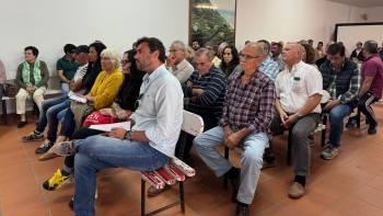 Imagem de Bananicultores querem que estragos sejam cobertos pelo seguro (vídeo)