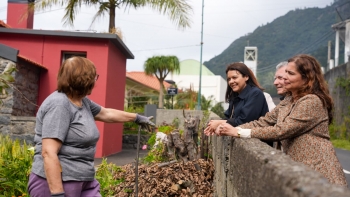 Imagem de Célia acusa República de discriminar madeirenses na mobilidade aérea (áudio)