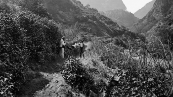 Imagem de Revolta popular com mais de 100 anos entusiasmou pároco do Curral das Freiras (áudio)
