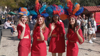 Imagem de Avenida Arriaga recebe o mercado de carnaval (vídeo)