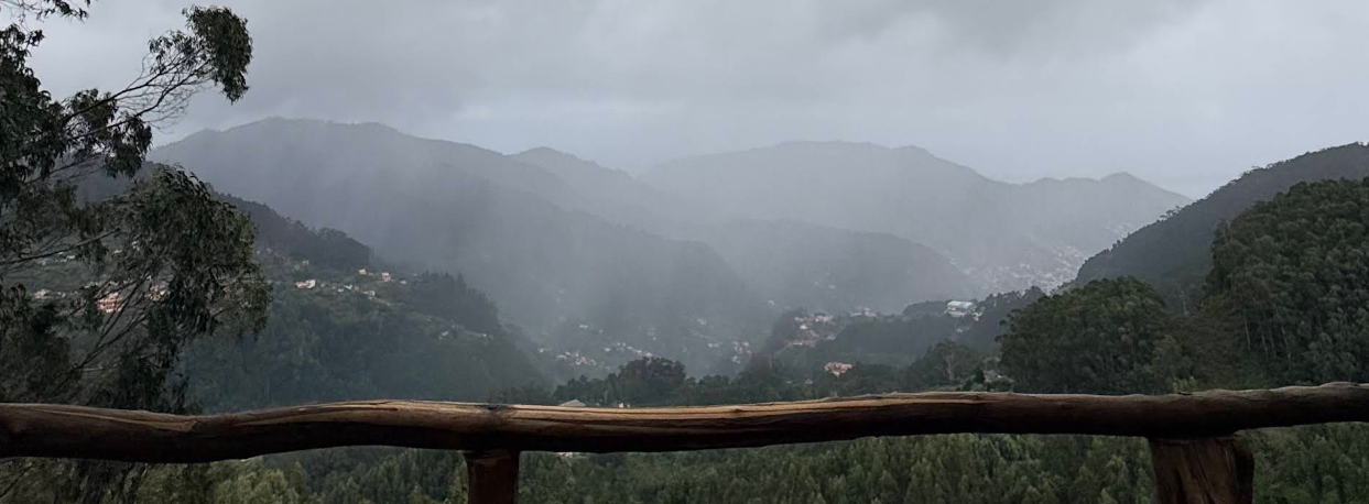 Imagem de Mulher de 80 anos encontrada morta numa ravina no Santo da Serra