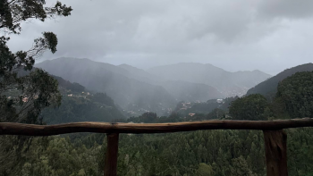 Imagem de Mulher de 80 anos encontrada morta numa ravina no Santo da Serra