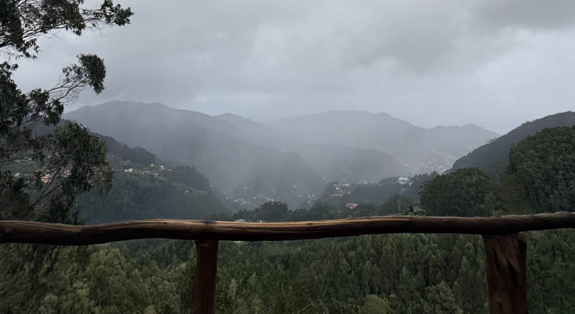 Imagem de Mulher de 80 anos encontrada morta numa ravina no Santo da Serra