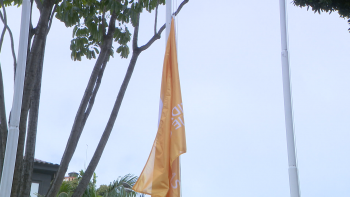 Imagem de Funchal faz parte do instituto de cidades e vilas com mobilidade (vídeo)