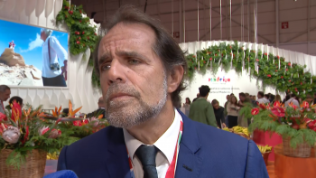 Imagem de Albuquerque reage a suspeitas de fraude em apoios europeus: “Não faço ideia nenhuma” (vídeo)